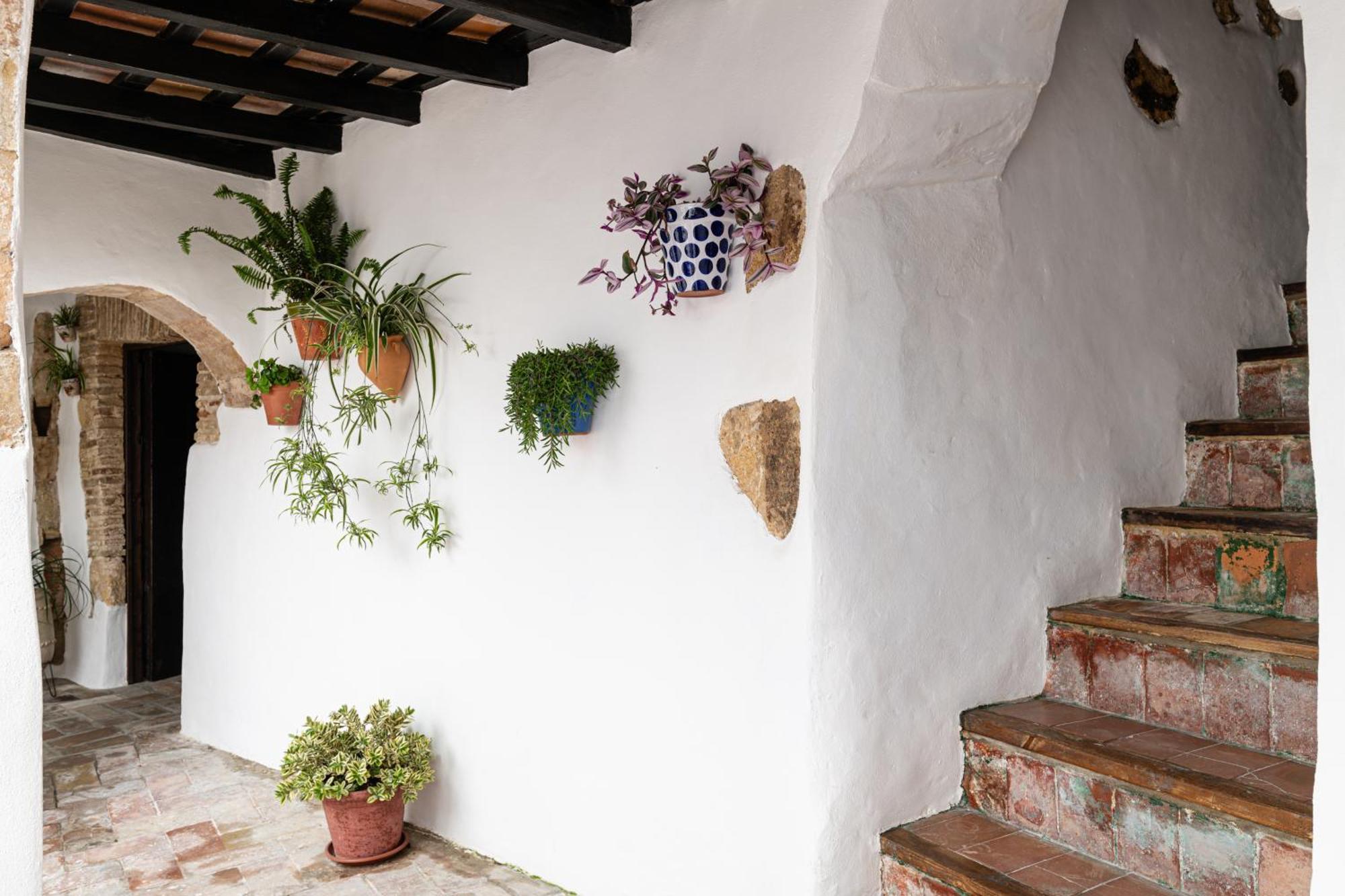 Casa Lunarito ベヘール・デ・ラ・フロンテーラ エクステリア 写真